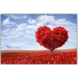 Coeur Arbre