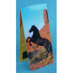 Chevaux Sauvages