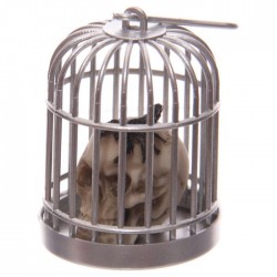 Tête de Mort Crâne en Cage (Scorpion Tête)