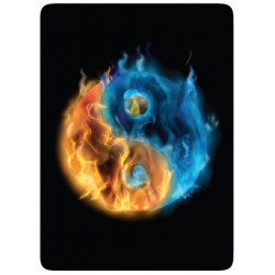 Yin Yang Feu