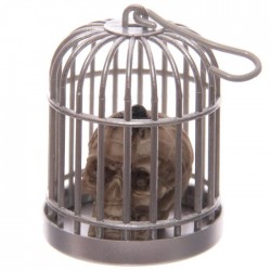 Tête de Mort Crâne en Cage (Araignée Tête)