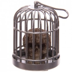 Tête de Mort Crâne en Cage 