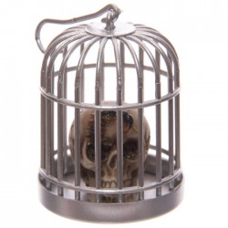 Tête de Mort Crâne en Cage (Scolopendre)