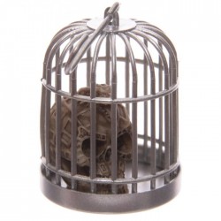 Tête de Mort Crâne en Cage (Dragon)