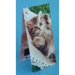 Chat Hamac