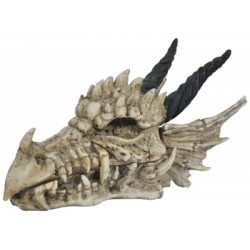 Boîte Tête de Dragon