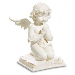 Ange sur Livre