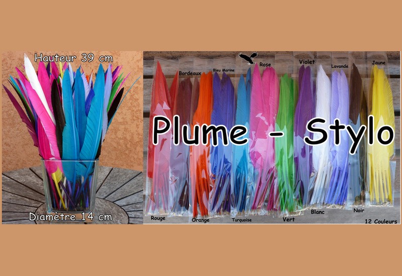 Plume Stylo